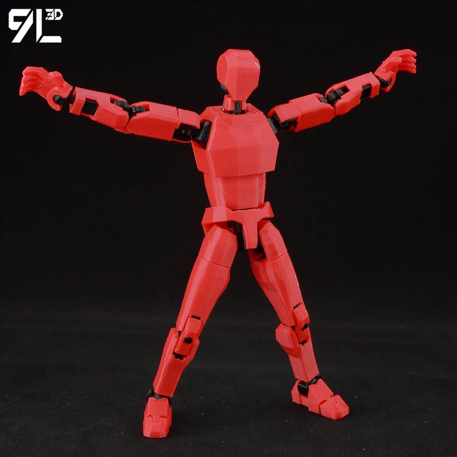 9L3D Gedrukt Dummy13 Lucky13 T - 3D Printing Joint recensie en prijs