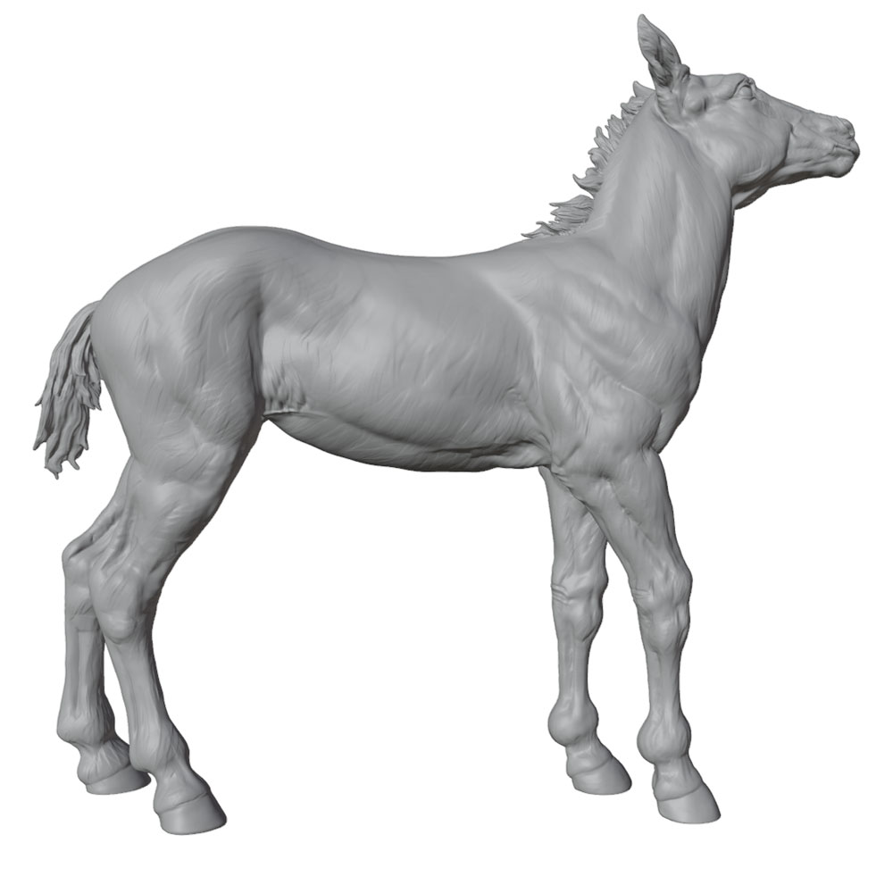Zeer gedetailleerde print, rea - 3D Printing App recensie en prijs