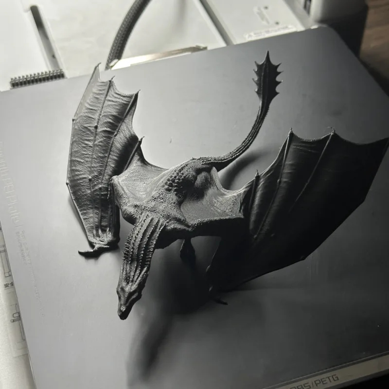 3D-geprint drakenmodel hars vl - 3D Printing App recensie en prijs